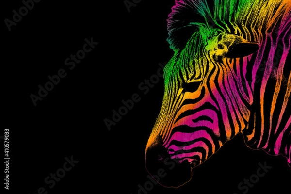 Fototapeta Illustration of a Zebra head looking to the side with colourful rainbow stripes effect against a black background.