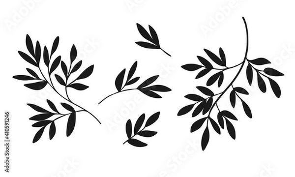 Fototapeta Vector silhouette of branches with leaves isolated on a white background. Floral black elements for decoration
