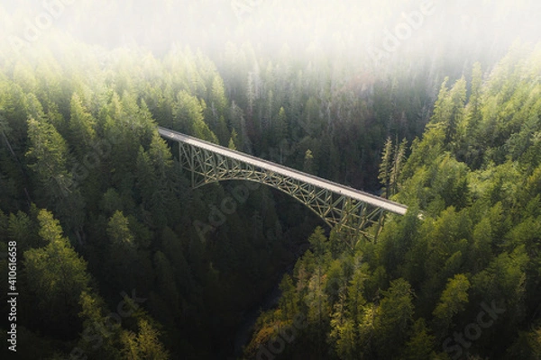 Obraz Landscape photo with bridge and forest
