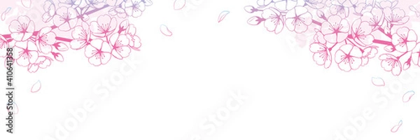 Obraz 桜の背景素材　線画グラデーション