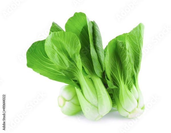 Obraz Bok choy vegetable on white background