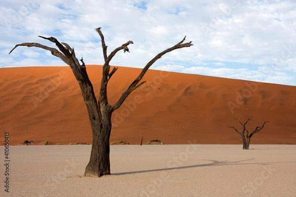 Obraz Vertrocknetes Tal