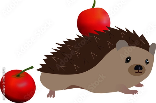 Fototapeta vector image of a cartoon hedgehog with apples. It can be used for printed products, or for textiles, children's clothing