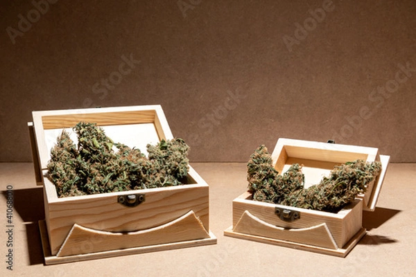 Obraz Medical marihuana buds inside two wooden boxes. Selective focus.