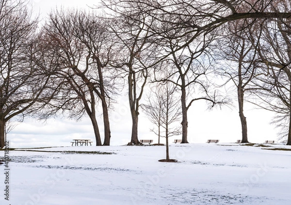Obraz Lonely park in isolation