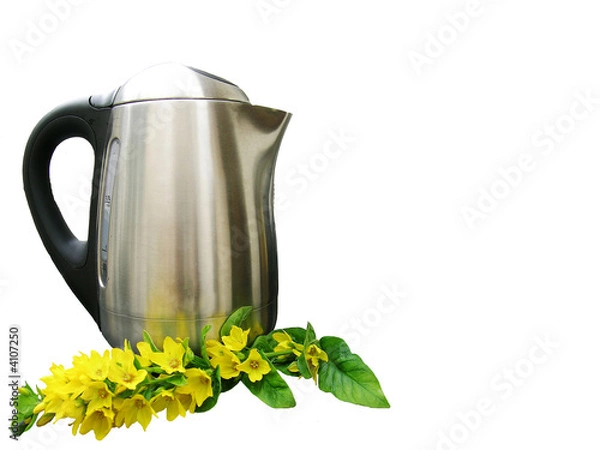 Obraz Contemporary Kettle