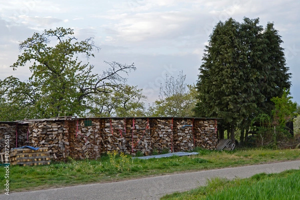 Obraz stack of firewood