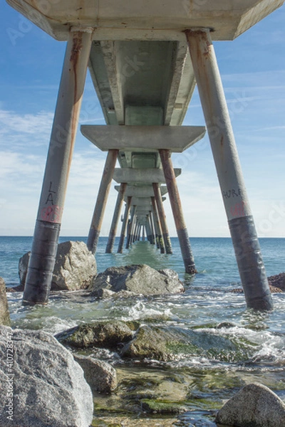 Obraz bajo el puente
