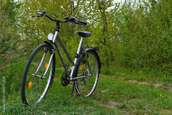 Obraz bicycle on the grass