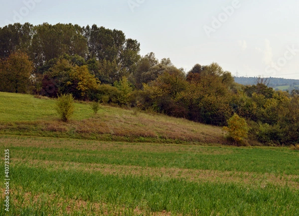 Obraz landscape with trees