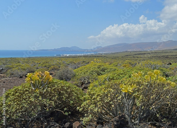 Obraz landscape and sky