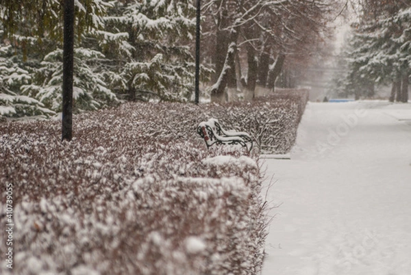 Obraz bench in the snow