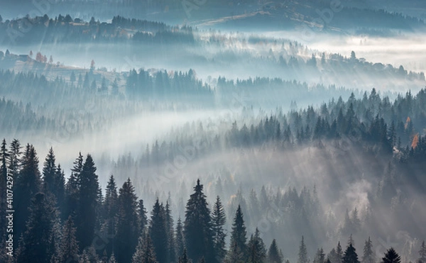 Fototapeta The air. Light and shadows in mist. First rays of sun through fog and trees on slopes. Morning autumn Carpathian Mountains landscape (Ivano-Frankivsk oblast, Ukraine).