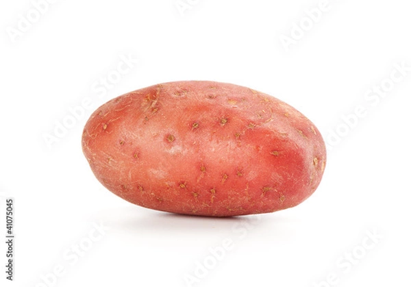 Obraz potato isolated on white background close up