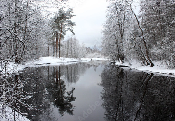 Obraz river in the forest