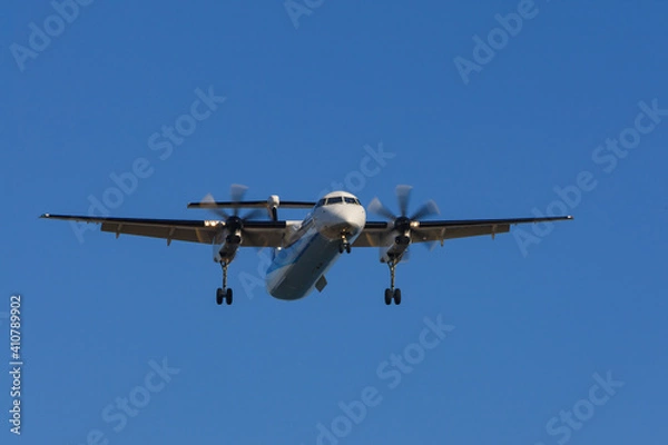 Obraz 青空から降りてくる飛行機