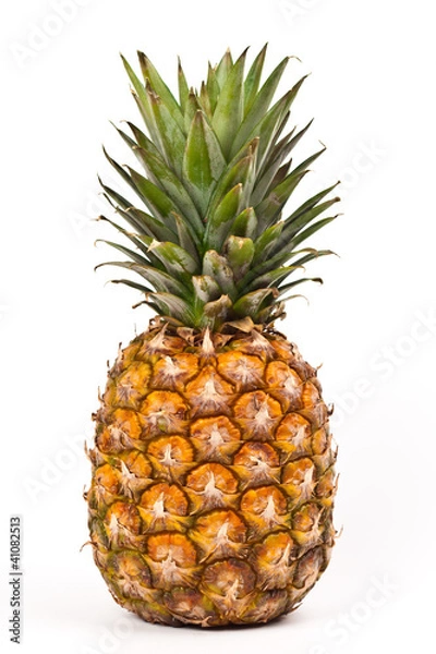 Obraz Dojrzały ananas