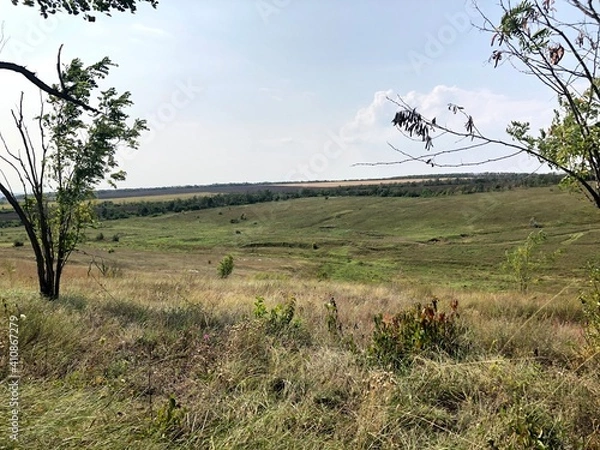 Obraz landscape with trees