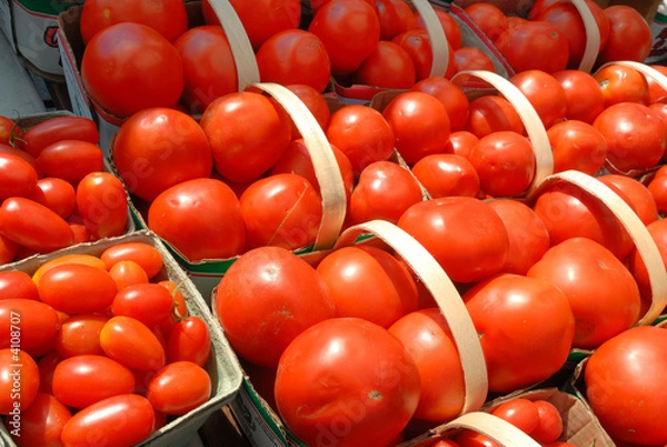 Obraz Tomato baskets