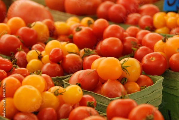 Obraz Red and yellow tomatos