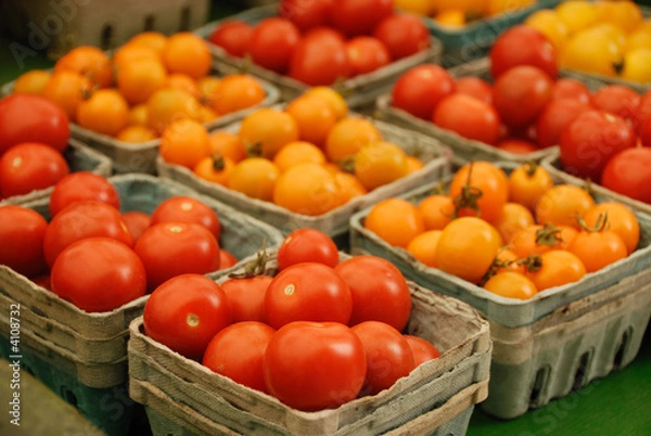 Obraz Red and yellow tomatos