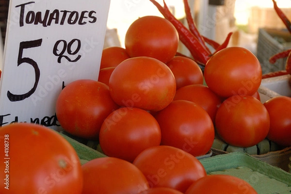 Obraz Tomatos for sale