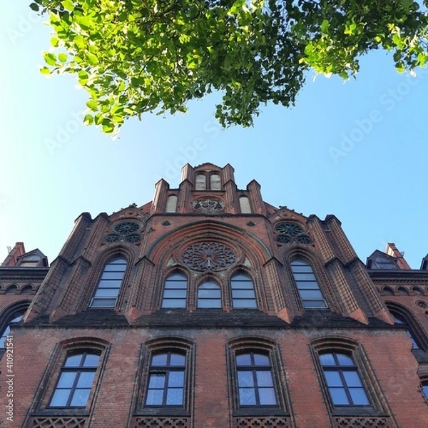 Fototapeta Street architecture in Poland, Wroclaw. The photo shows a residential building. The picture was taken from the bottom with a plan for the leaves of a tree.