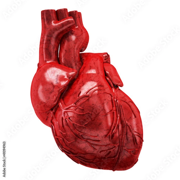 Obraz human heart
