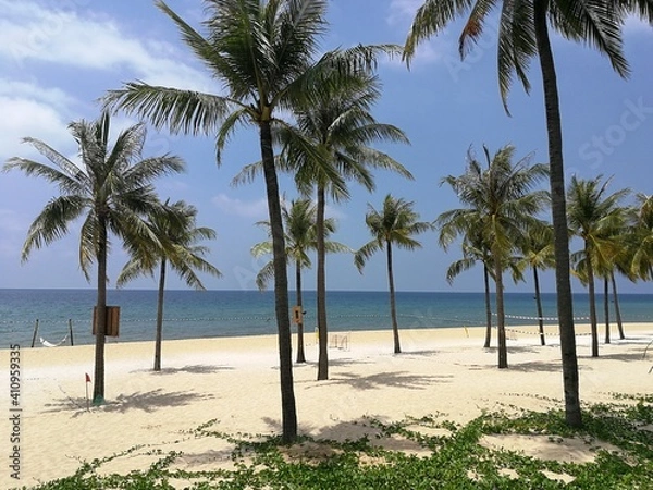 Obraz White sand beach with tall palm trees on Phu Quoc island in Vietnam