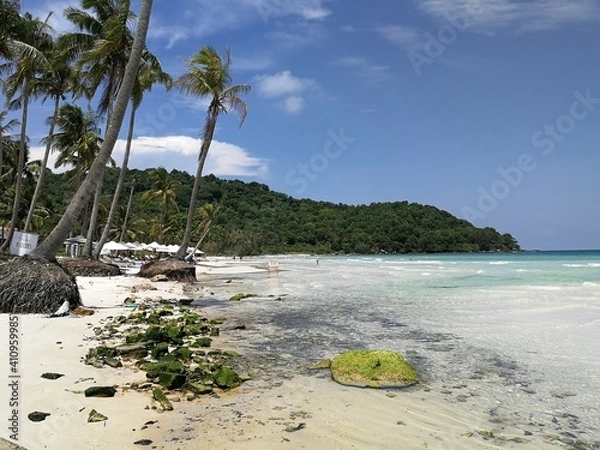 Obraz Phu Qoc island beach with white sand and palms in Vietnam