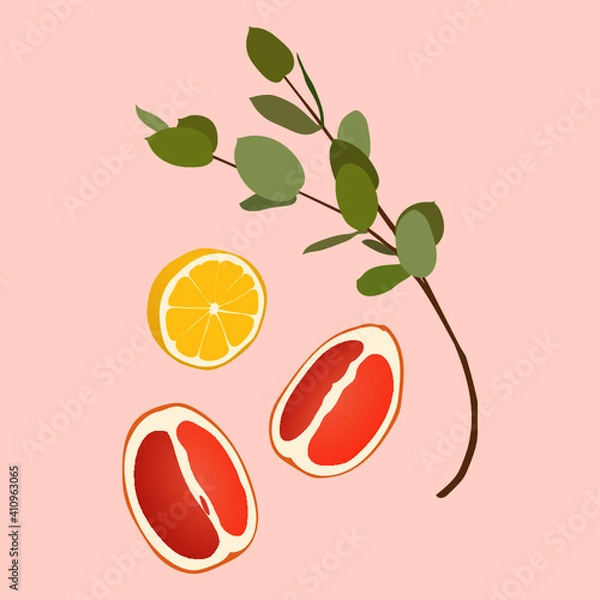 Obraz Lemon, grapefruit, eucalyptus branch