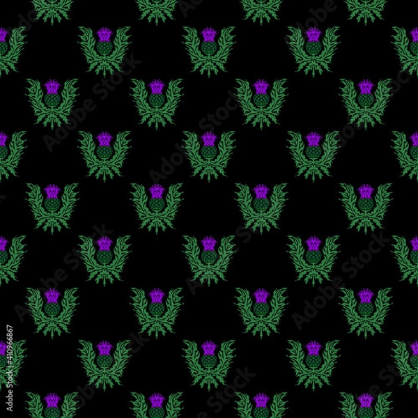 Obraz A repeating pattern of thistle, the symbol of Scotland, a sharp flower.