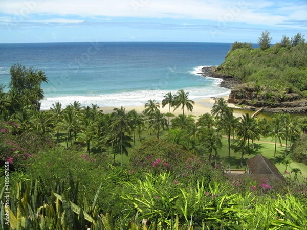 Obraz beach with trees and sea