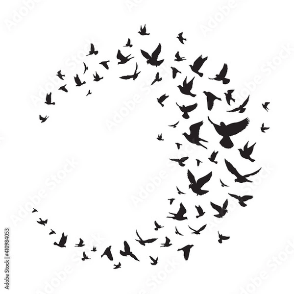 Obraz Flying birds silhouette illustration. Vector background