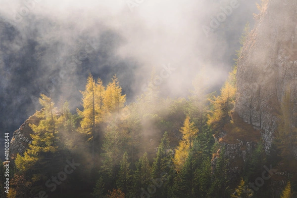 Obraz Cold morning in the mountains