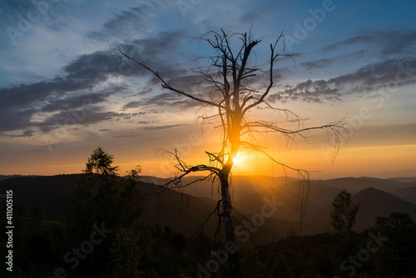 Obraz Cold morning in the mountains