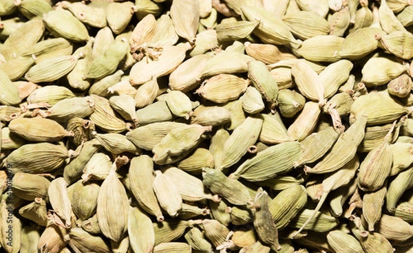 Obraz dry green cardamon close uo background texture