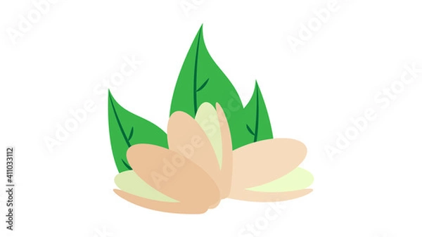 Fototapeta pistachios icon on background. Realistic nut with leaves and seeds