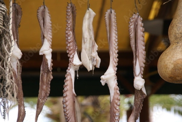 Obraz Octopus tentacles on display in Greece