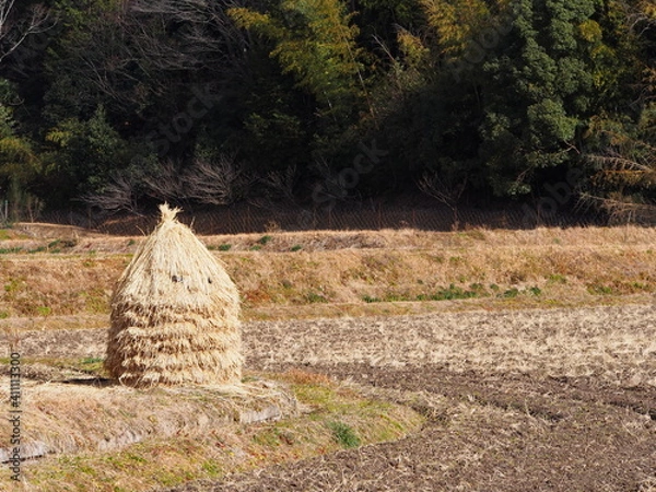 Obraz 冬の田んぼ