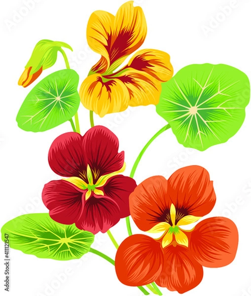 Obraz vector vintage floral design elements on gradient background