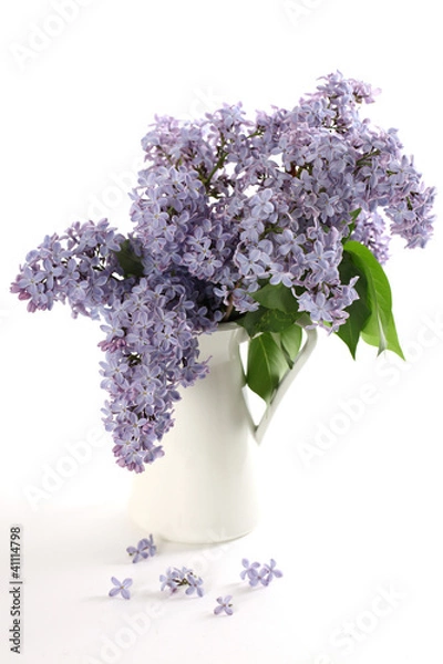 Obraz Fliederstrauß