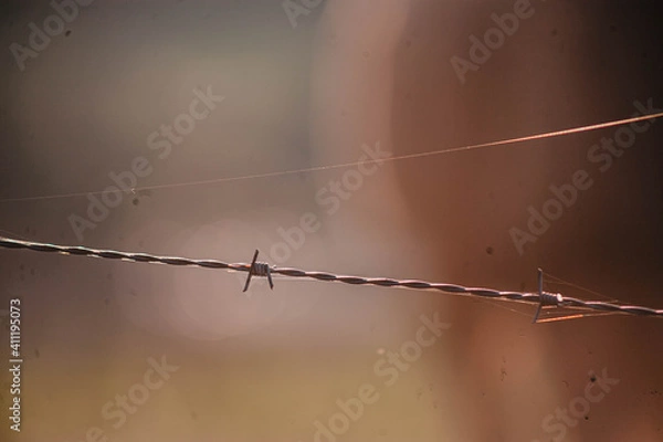 Obraz barbed wire fence