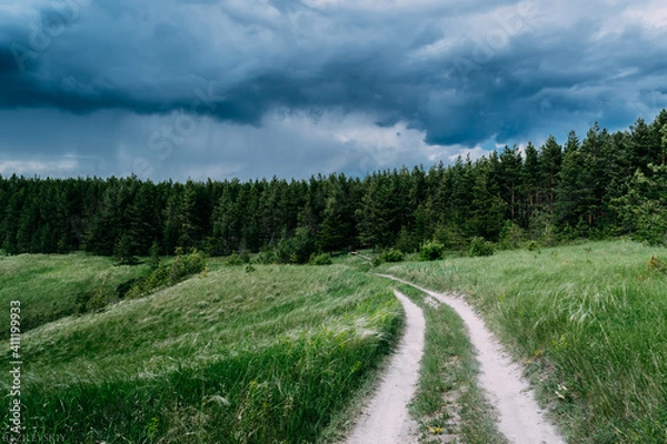 Obraz road in the forest