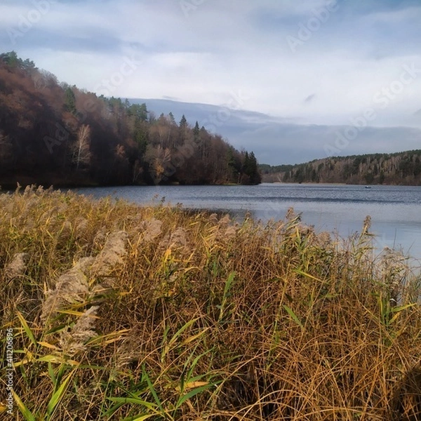 Obraz lake in autumn