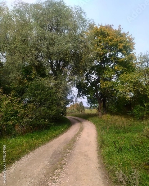 Obraz country road in autumn