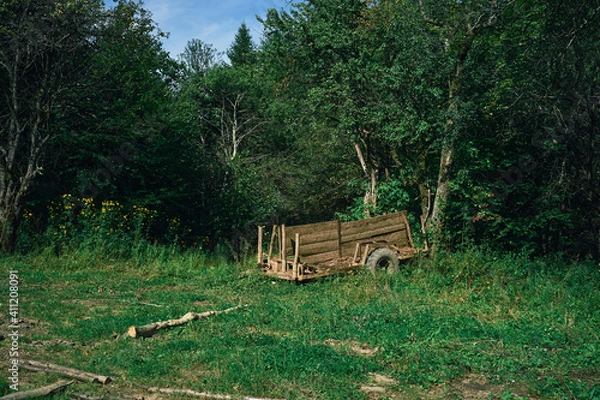 Fototapeta An abandoned wooden cart in a clearing by an old logging site in the middle of the forest. Bieszczady, Poland