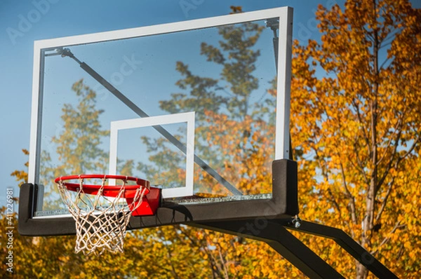 Obraz Basketball hoop with net in autumn park