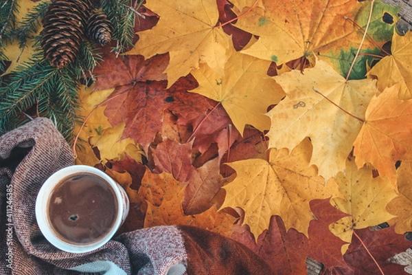 Obraz autumn background