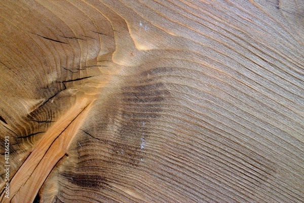 Obraz venature legno